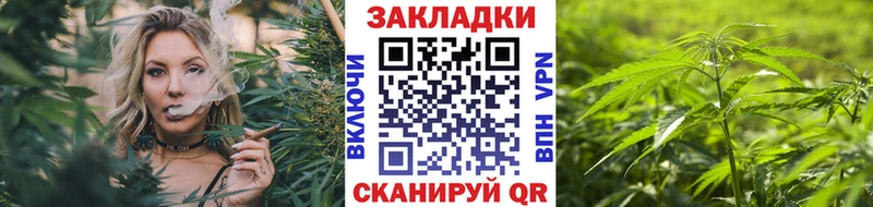 Какие есть наркотики Куровское Гашиш  Амфетамин  Псилоцибиновые грибы  Кокаин  Мефедрон 