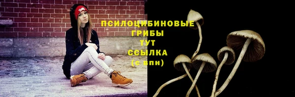 метадон Алексеевка