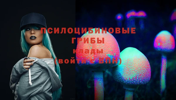 метадон Алексеевка